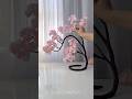ایده دکوراسیون زیبا خودت انجام بده