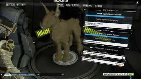 Warframe | Lotus Kubrow in disguise
