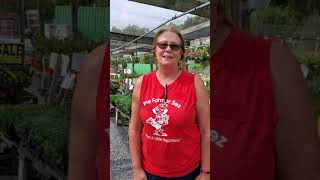 Debbi Downs Meadows Farms Burtonsville