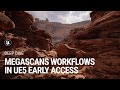 Megascans workflows for environment creation in UE5 Early Access