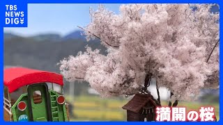 「一日中お花見が楽しめる」スポンジで作ったミニチュア桜｜TBS NEWS DIG