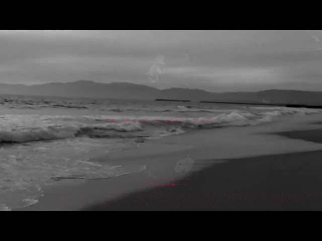 Lana Del Rey x The Neighbourhood - West Coast / The Beach [Prod. By LIBERTO] class=