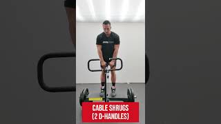 Squat Box Pro Full Workout Guide | 15 Exercises for Total Body Strength | BodyKore