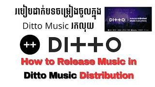 របៀបដាក់បទចម្រៀងចូលក្នុង Ditto Music រកលុយ - How to Release Music in Ditto Music @SameanReaction