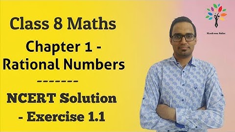 Class 8 Maths Chapter 1 | Rational Numbers | Solving NCERT Exercise 1.1