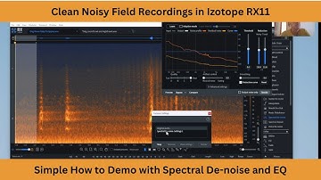 How to Clean Noisy Field Recordings in Izotope RX11 | Simple How To Demo | Before and After Examples