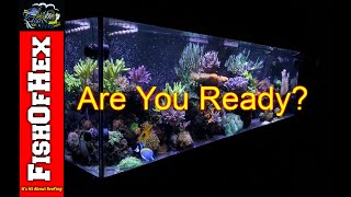 Am I Ready For Acropora Coral? | Beginner Guide