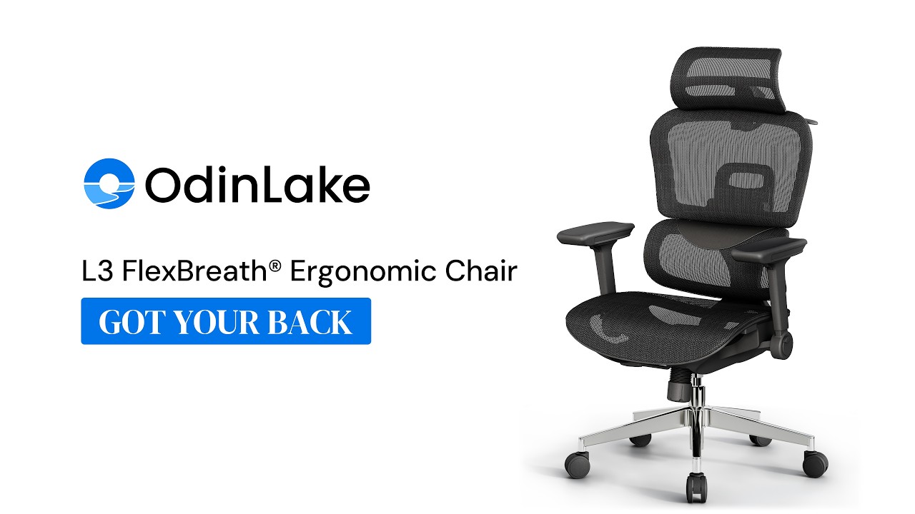 OdinLake L3 Ergonomic Chair Adjustment Guide