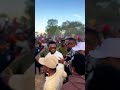Diamond Platnumz And Baba Levo Show Biz Shortvideo Diamond Platnumz And Baba Levo Show Biz Shortvideo