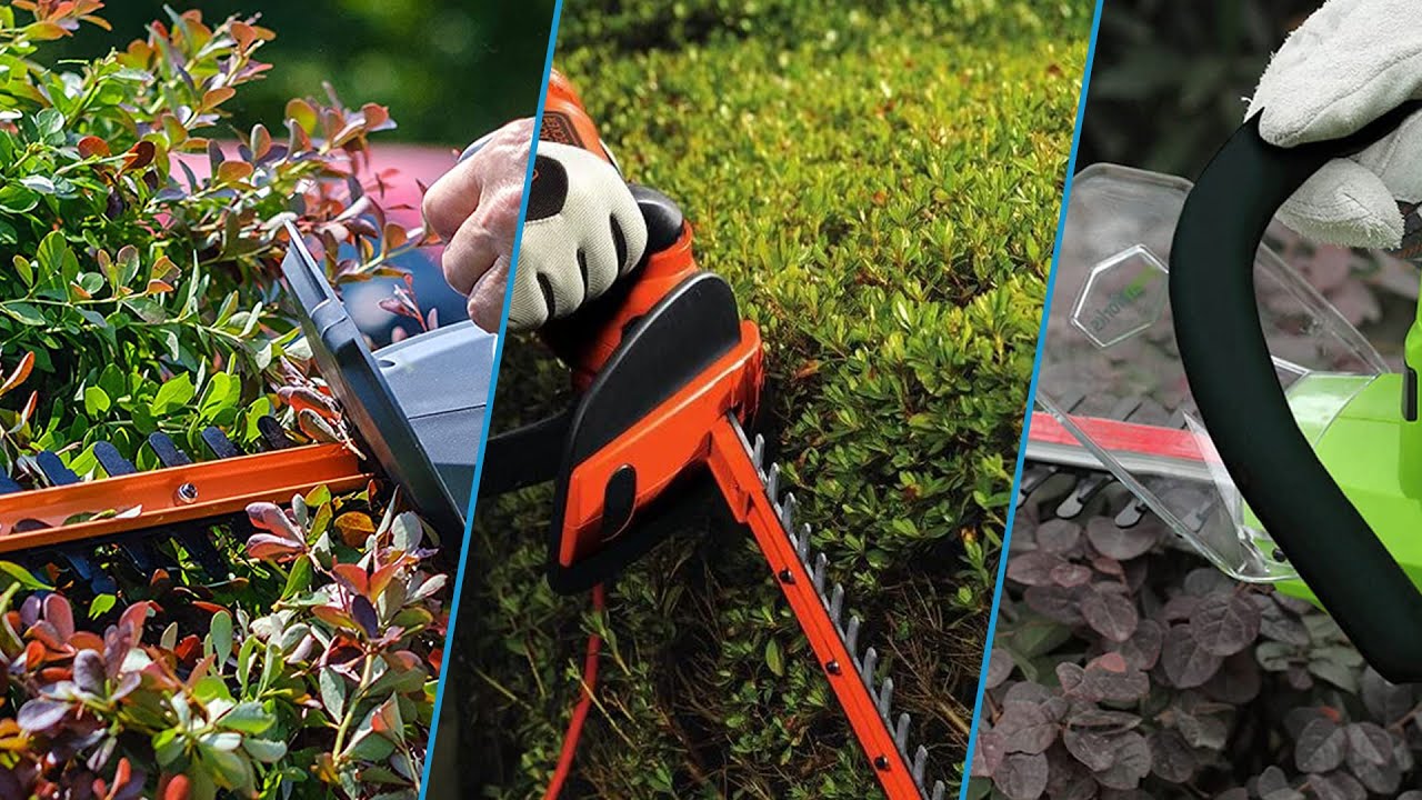 What's So Interesting About Top 10 Electric Hedge Trimmer? YouTube