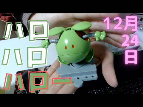 12月24日のもこたん