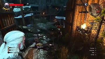 Witcher 3 - Infinite Fall