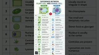 Plant Cell vs Animal Cell | Key Differences Explained Simply