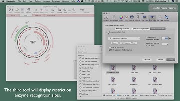 MacVector