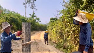 Reinforce the hedgerows around the tree area to prevent herbivores from damaging the trees.
