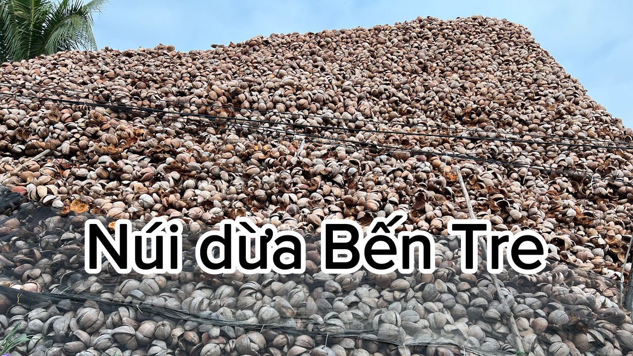 Review Nhà Máy Sản Xuất Chỉ Sơ Xơ Dừa Ở Bến Tre - Minh Nước TV