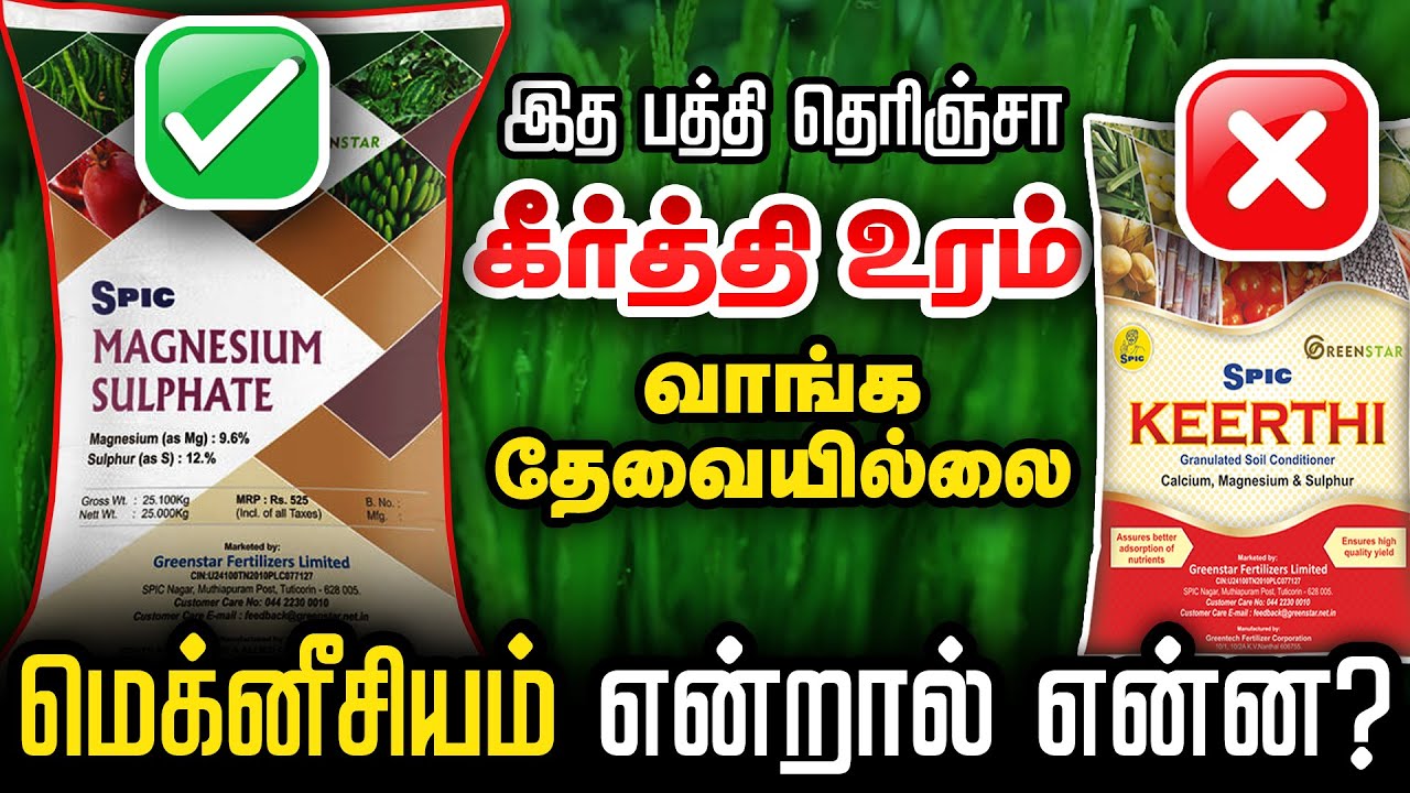கற்கண்டா இது ? | 800ரூபாய்க்கு இதுக்குள்ள என்ன இருக்கு ? | மெக்னீசியம் சல்பேட் பற்றிய முழு விளக்கம்