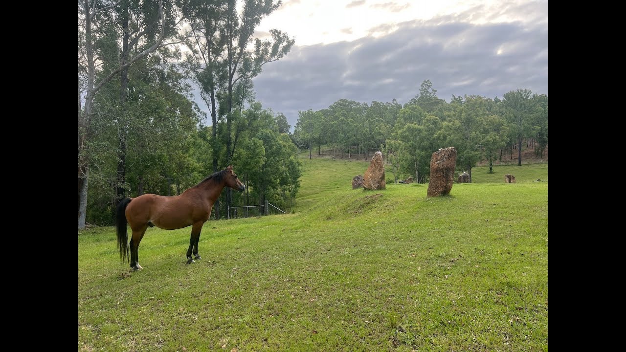 Galactic Drum Making Ceremony - SPIRIT OF THE STARS - WISDOM OF THE HORSES- 25th-27th April 2026