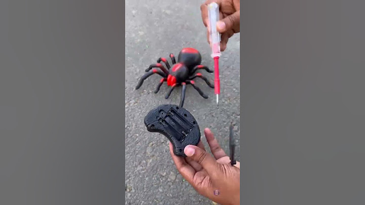 RC Snake and RC spider wala shorts