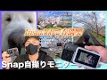 Insta360カメラで春満喫!🌸 新商品のスマホ用自撮りモニターも登場！最高すぎる【Snap自撮りモニター】