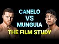 Canelo vs munguia the film study