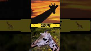 Send It To Someone Who Look Like A Giraffe.