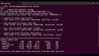 DurableKv Day 24: Saturate CPU, Disk & Network Until Latency Spikes | DurableKV in Go (WAL + fsync)