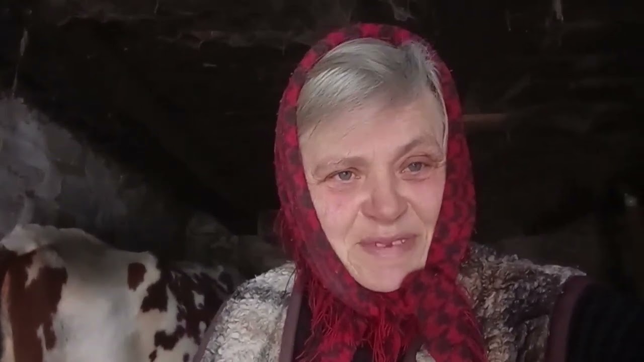 Аборт коровы на позднем сроке?  🐮ПОСЛЕД? 😲😭что делать...