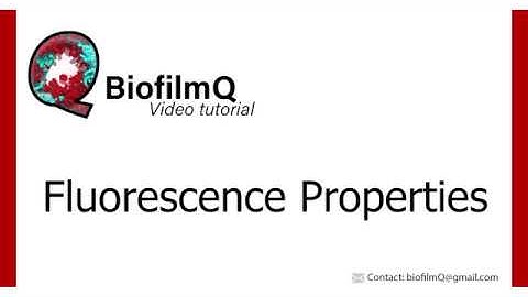 BiofilmQ Tutorials - 2.3.1 Fluorescence Properties