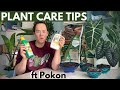 Tips and tricks for plant parents ft Pokon | Plant with Roos