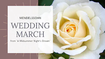 Naomi Hoffmeyer | Wedding March - Felix Mendelssohn (Harp Cover)
