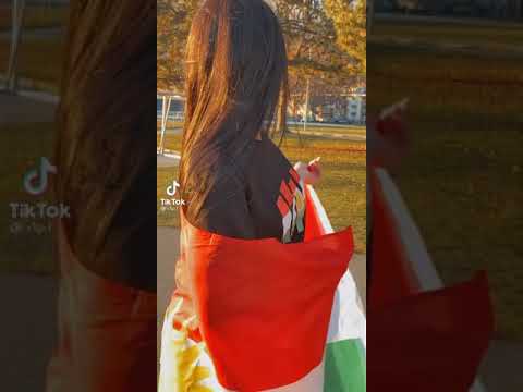 نحن لحالنا دوله