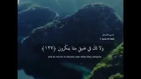 أجمل حالات -واتس اب -دينية تلاوة تخشع لها القلوب ♥