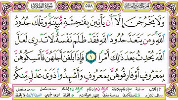 القرآن الكريم مقسم صفحات | الشيخ حاتم فريد | سورة الطلاق | صفحة 558 مكتوبة | مصحف التجويد الملون