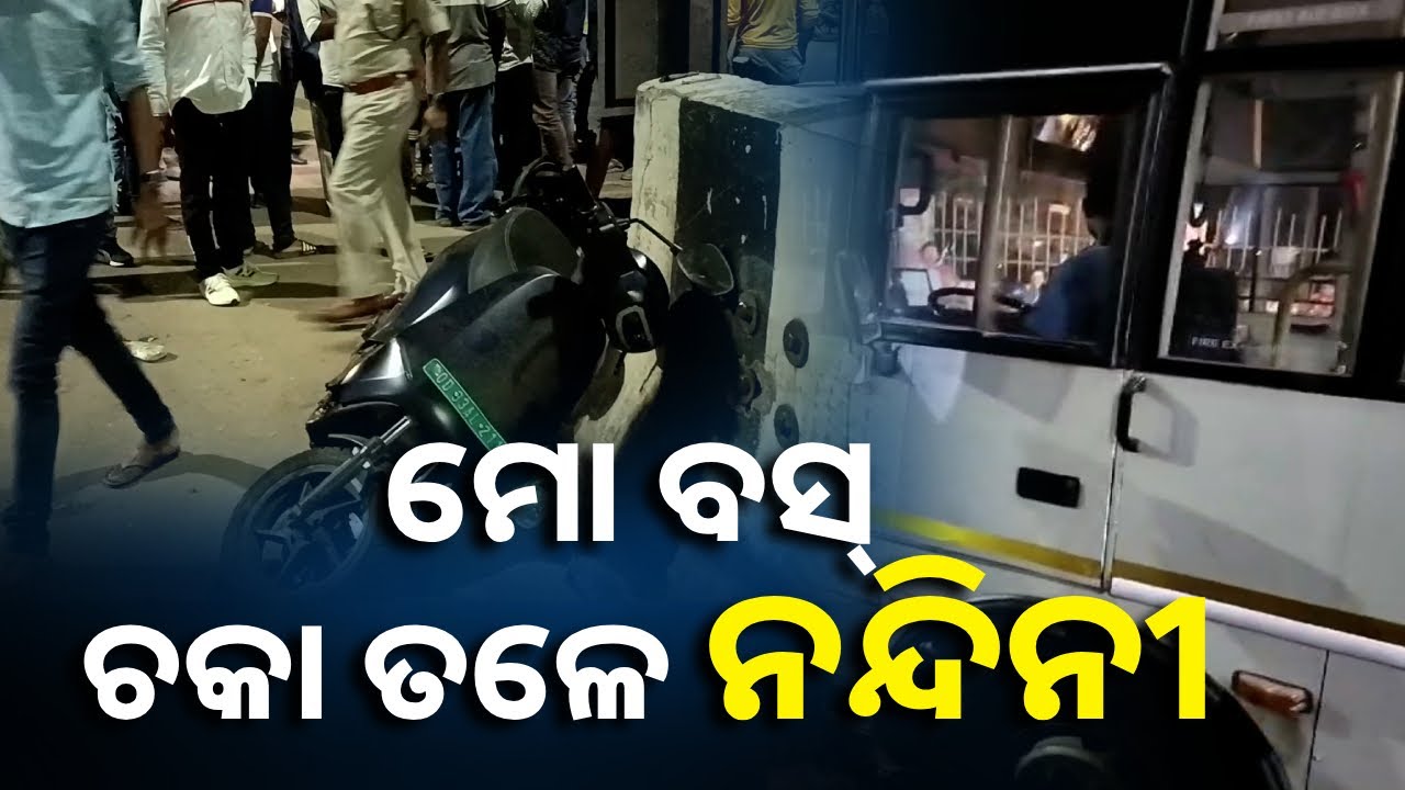 ଆଉ କେତେ ଜୀବନ ନେବ ମୋ ବସ୍? ଭୁଲ୍ ତ ସେଇ ମଣିଷ ହିଁ କରୁଛି || Knews Odisha