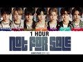 [1 HOUR] ENHYPEN – 