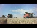 Letošní žně v "Rolaně" + Žňový FOTOSPECIÁL |     Harvest 2019