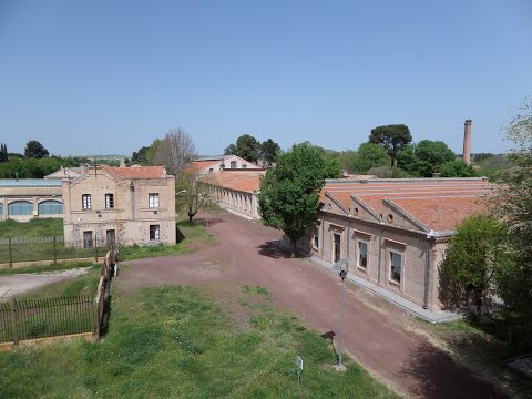 Video: Principi, scopi e obiettivi del TQM