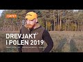 Drevjakt i polen 2019