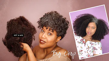 THE BIG CHOP 2018 - From Mid Back To Tapered Cut & Embracing My Silver // Samantha Pollack