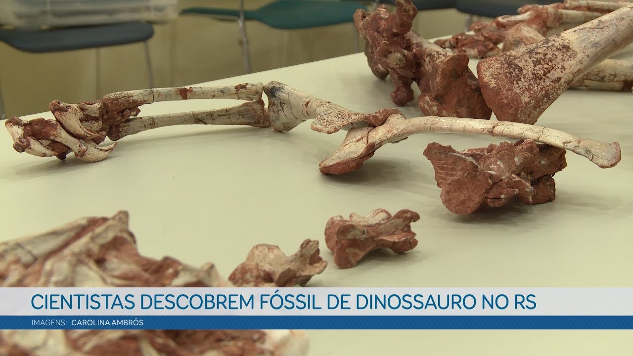 O mais antigo precursor dos dinossauros sul-americanos é