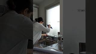 Coloquemos estos vinilos estáticos de Muresco