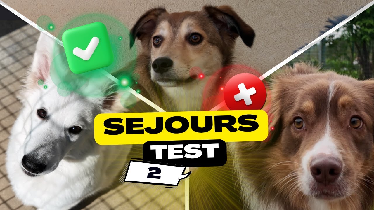 QUI NE S'ADAPTERA PAS ? (Et pourquoi...)