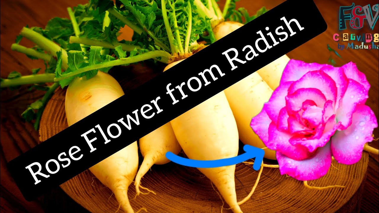 Food decorations new 2024 |food carving | cave fruit very fast and easy | carving f&v