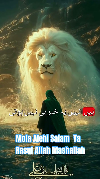 Hazrat A Mola Alehis Salam Hazrat Ali Raziallah Hu Anhu #mashallah_ماشاءالله #shortvideo