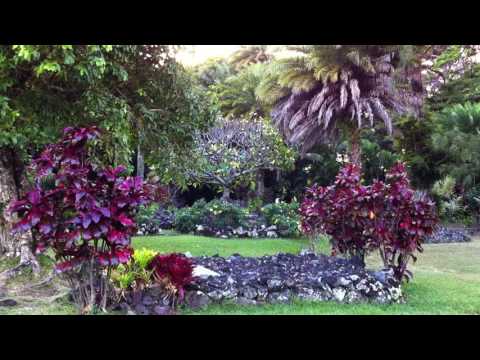 Charles Lindbergh S Grave Site In Maui Hawaii