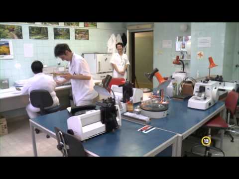 Videó: Vegyes Módszerek A Betegek Hanyatlásához Kapcsolódó Tényezők Feltárására A Metadon Fenntartó Kezelési Programban Sanghajban, Kína