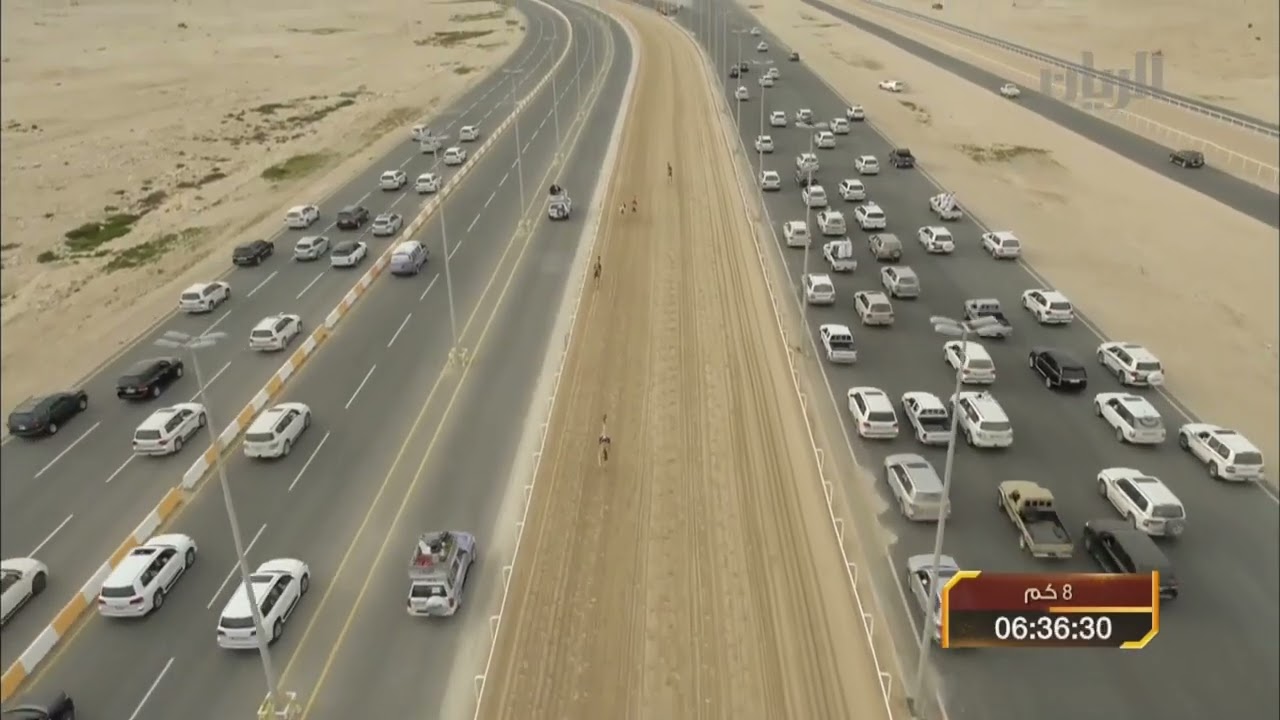 سباق أمير البلاد المفدى للهجن العربية الأصيلة   حيل   الشوط الرابع  29 01 2014