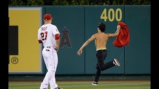 MLB Wild Fans on the Field