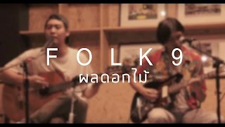 [LENSOD Sessions x Hubbato] Folk9 - ผลดอกไม้(Acoustic version) chords